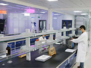Lab