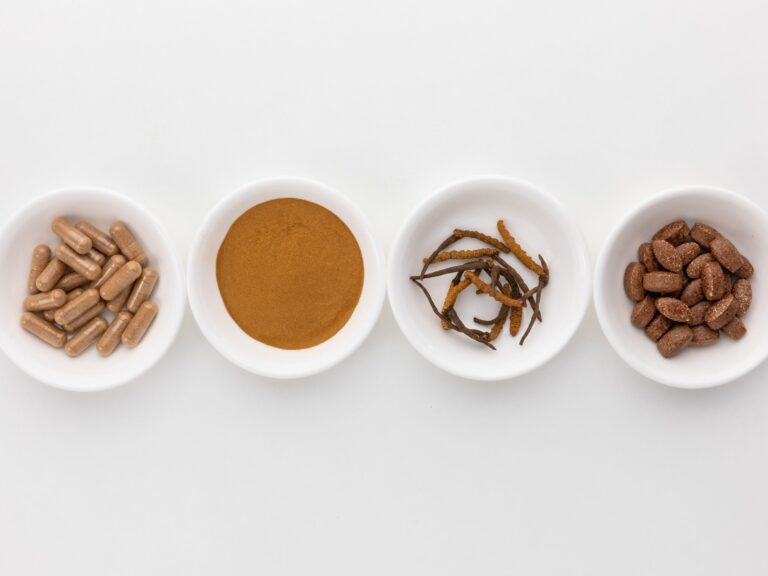 cordyceps extract wholesale