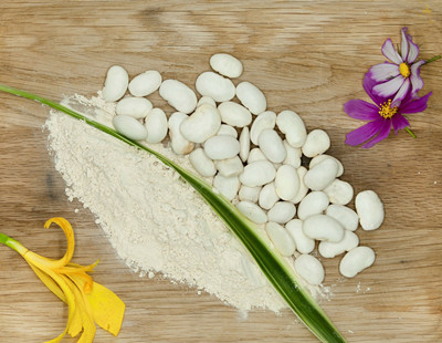 White Kidney Bean Extract