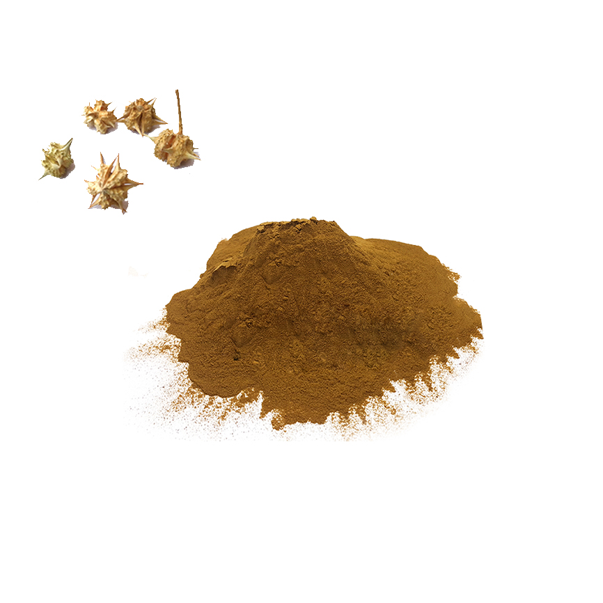 Tribulus Terrestris Extract Supplier