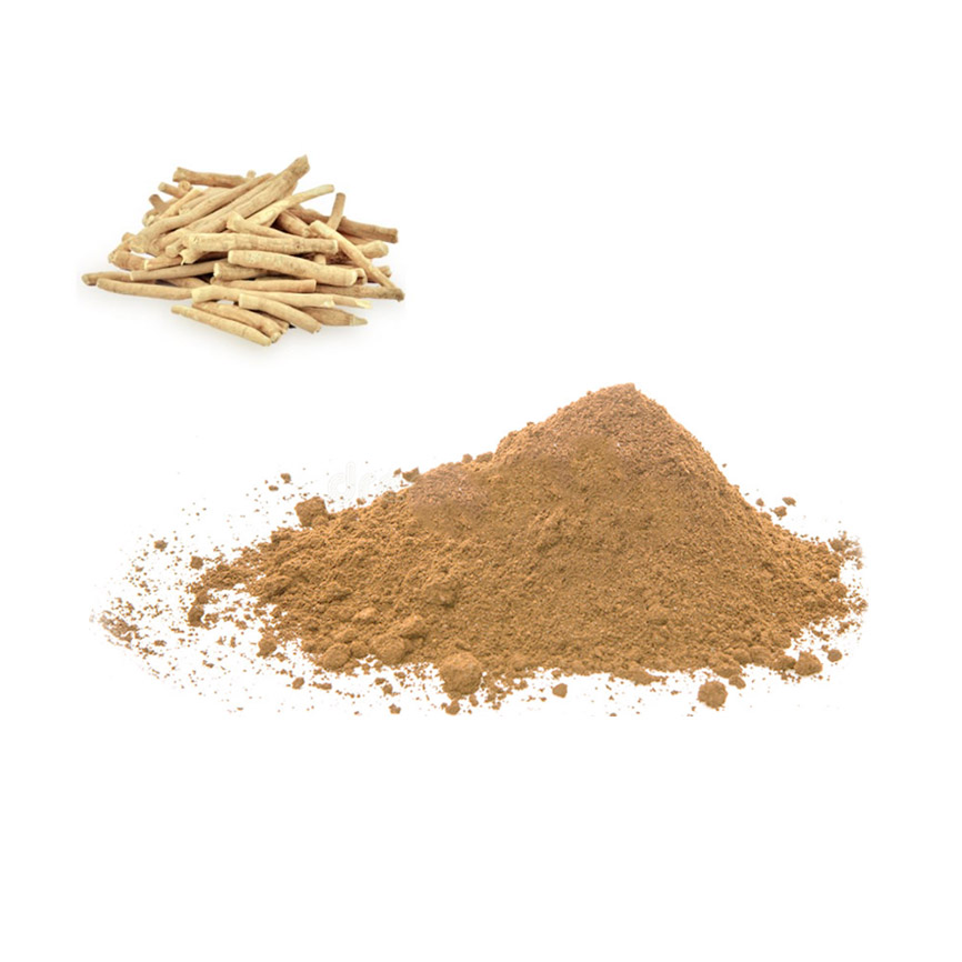 Ashwagandha Extract Supplier