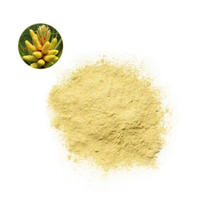 Pine Pollen Powder Supplier_ MEETSUPPLEMENT