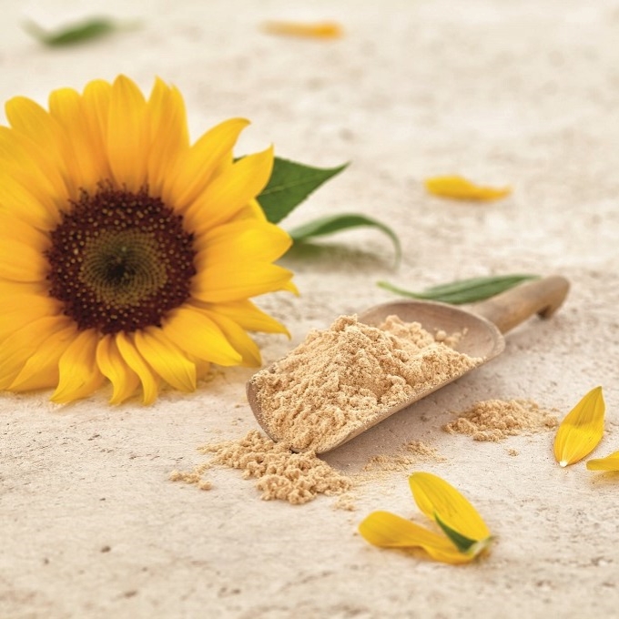 Sunflower lecithin powder supplier Sunflower lecithin powder supplier