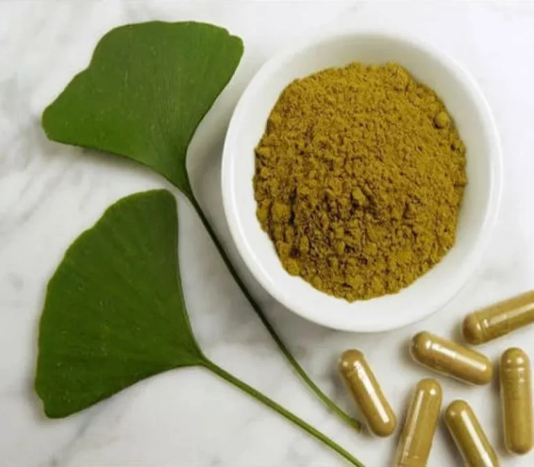 Ginkgo leaf extract