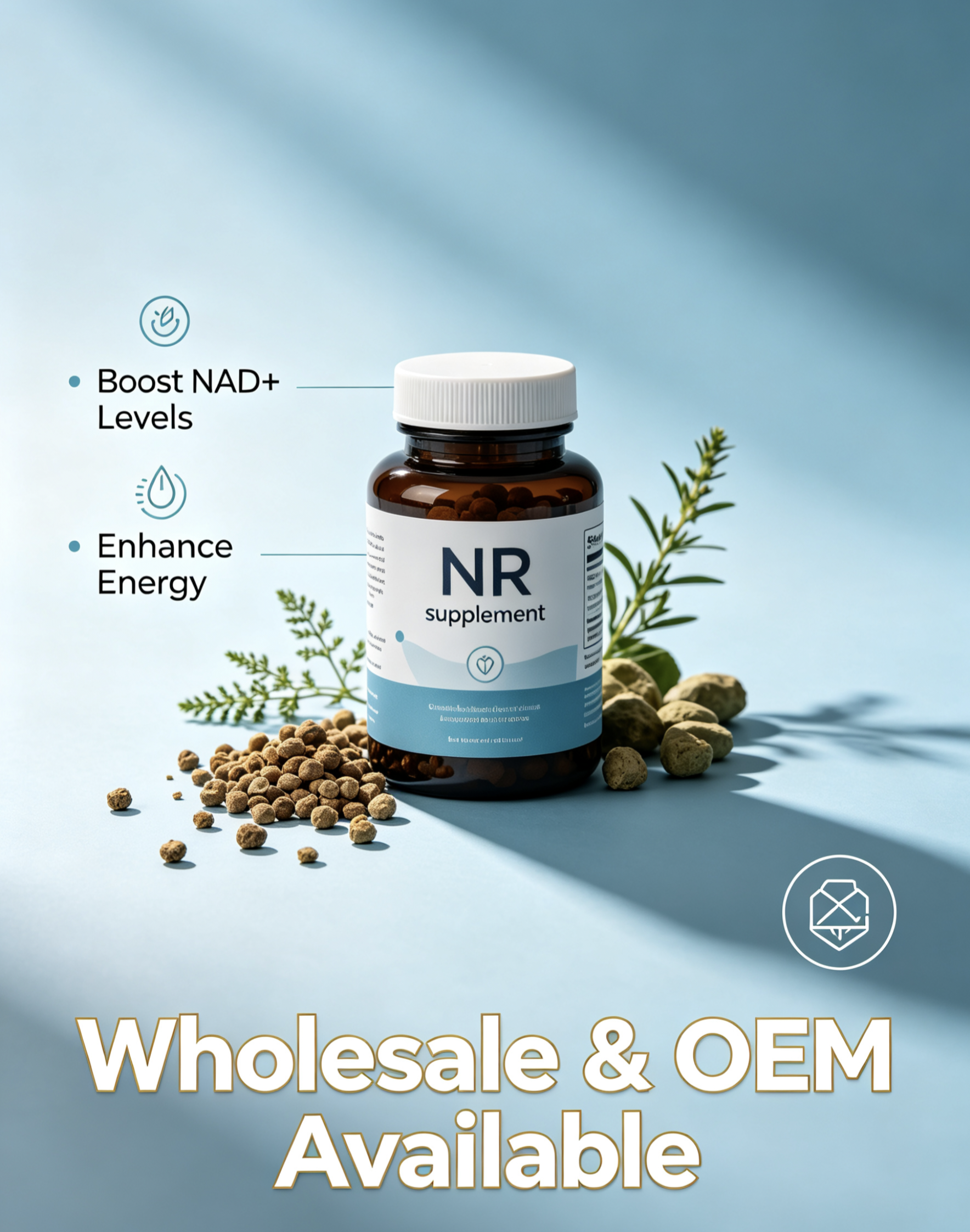 NR supplement